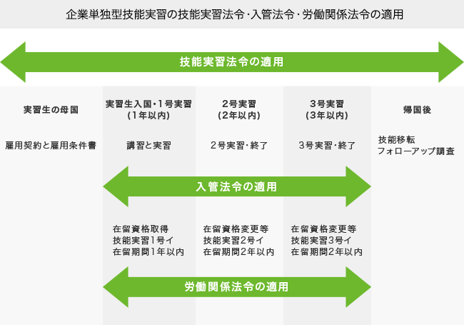 企業単独型技能実習の技能実習法令・入管法令・労働関係法令の適用